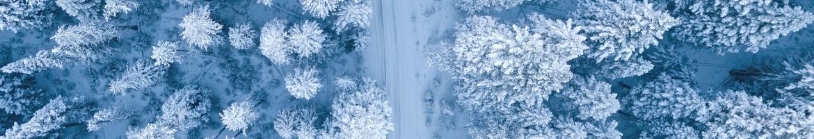 winter-refresh-banner