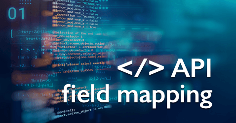 API field mapping feature