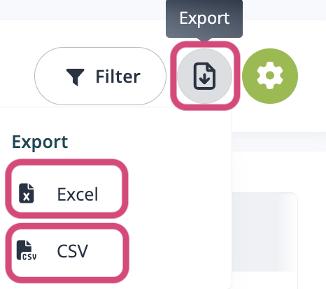 Fai clic sul pulsante di esportazione e seleziona Excel o CSV come tipo di file.